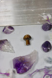 Teeny Crystal Shroomies