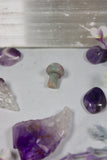 Teeny Crystal Shroomies